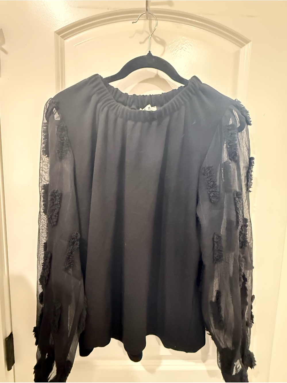 THML Black Sheer Puff-Sleeve Blouse